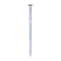 Coach Screw - Zinc