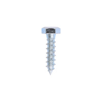 Coach Screw - Zinc