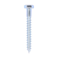 Coach Screw - Zinc