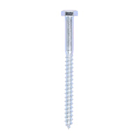 Coach Screw - Zinc