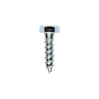 Coach Screw - Zinc