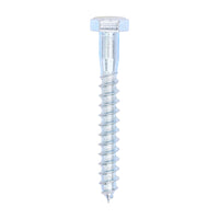 Coach Screw - Zinc
