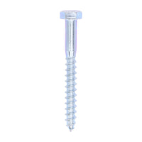 Coach Screw - Zinc