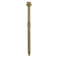 In Dex Timber Screw - HEX