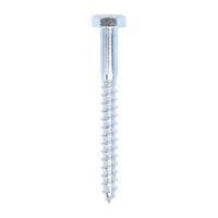 Coach Screw - Zinc