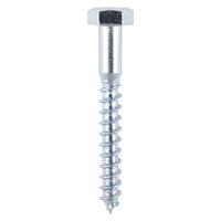 Coach Screw - Zinc