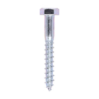 Coach Screw - Zinc