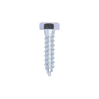 Coach Screw - Zinc