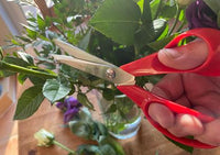 Razorsharp All Purpose Scissors