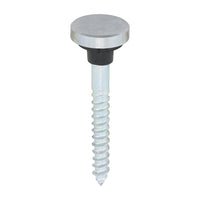 Mirror Screws Chrome

