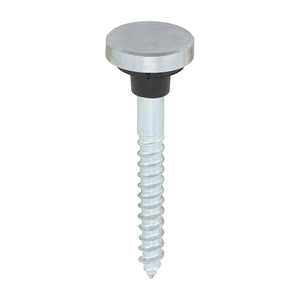 Mirror Screws Chrome