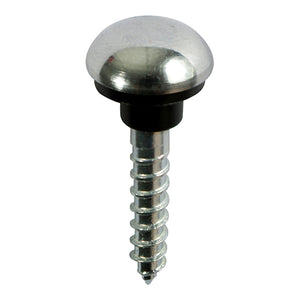 Mirror Screws Chrome