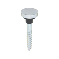 Mirror Screws Chrome
