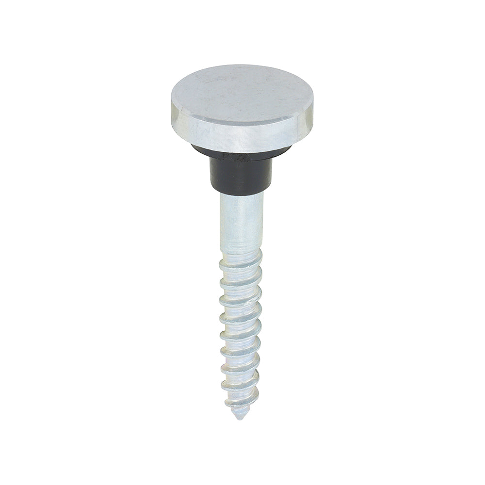 Mirror Screws Chrome