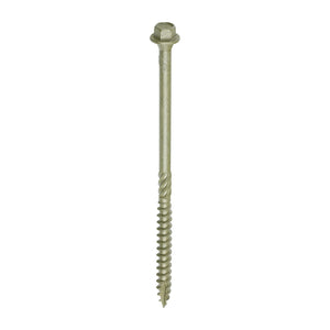 In Dex Timber Screw - HEX