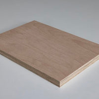 Beech Multiply A/A Hardwood Plywood (Birch Ply Substitute)