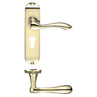 Project Arundel Euro Profile on Lock Backplate
