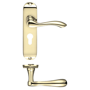 Project Arundel Euro Profile on Lock Backplate
