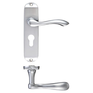 Project Arundel Euro Profile on Lock Backplate