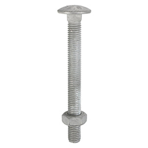 Carriage/Coach Bolt & Nut - Hot Dipped Galvanised